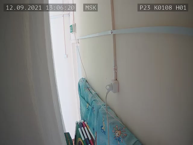 Скриншот нарушения с видеокамеры УИК 108