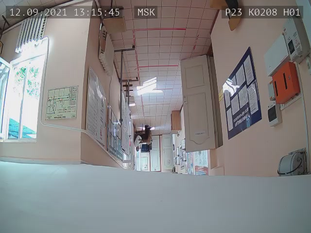 Скриншот нарушения с видеокамеры УИК 208