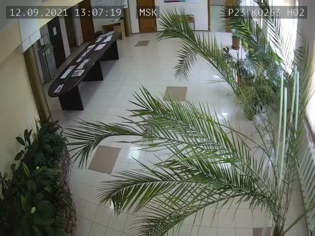 Скриншот нарушения с видеокамеры УИК 263