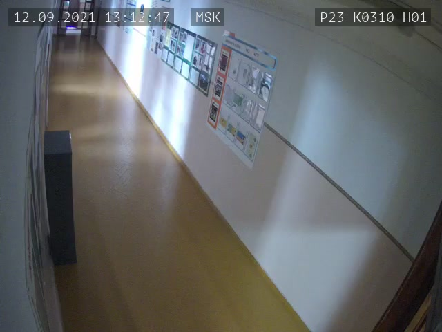 Скриншот нарушения с видеокамеры УИК 310