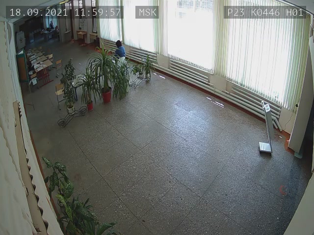 Скриншот нарушения с видеокамеры УИК 446