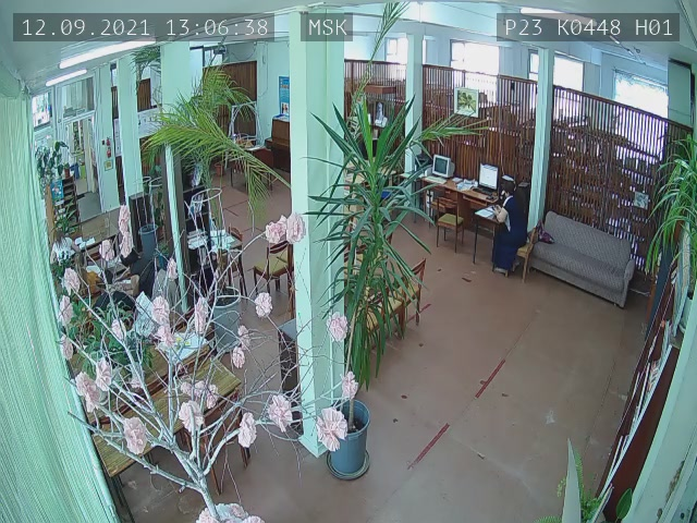 Скриншот нарушения с видеокамеры УИК 448