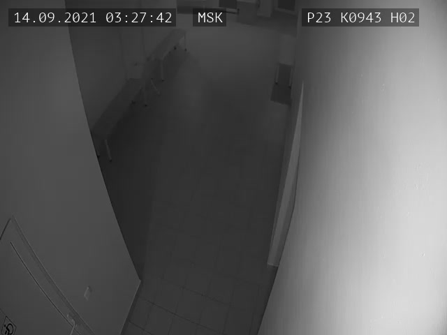 Скриншот нарушения с видеокамеры УИК 943