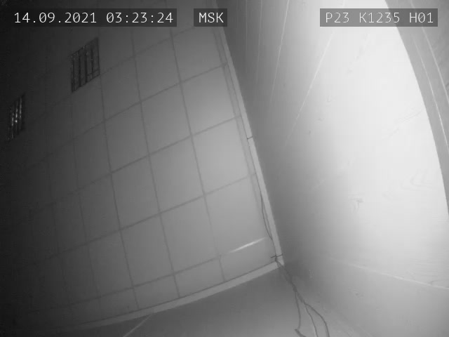 Скриншот нарушения с видеокамеры УИК 1235