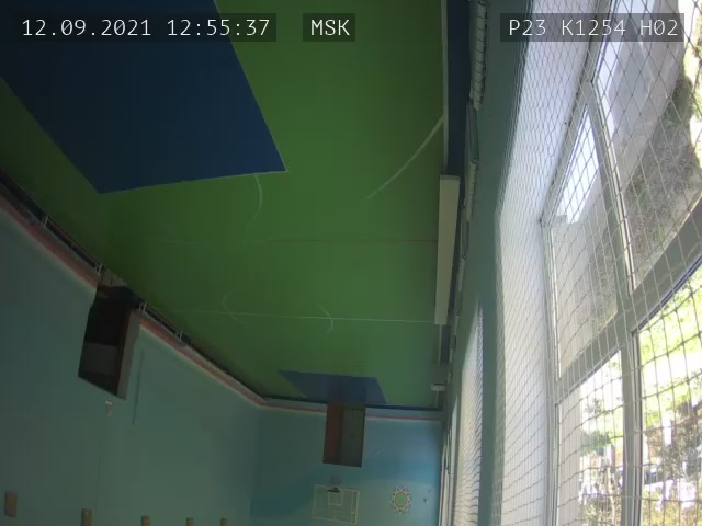 Скриншот нарушения с видеокамеры УИК 1254