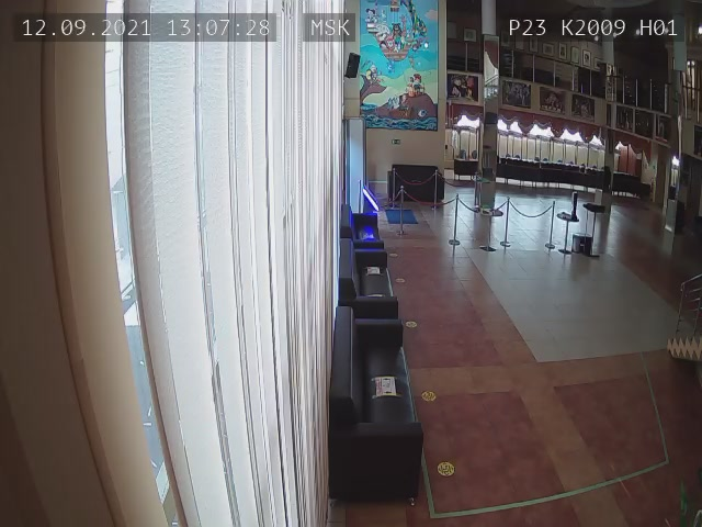 Скриншот нарушения с видеокамеры УИК 2009