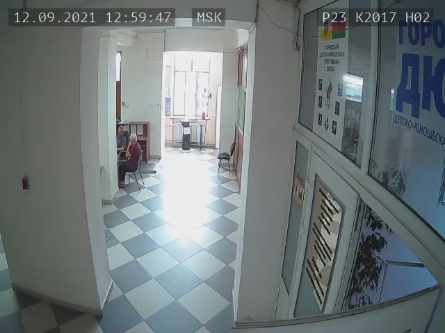 Скриншот нарушения с видеокамеры УИК 2017