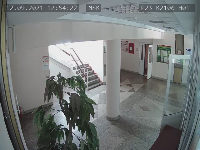 Скриншот нарушения с видеокамеры УИК 2106