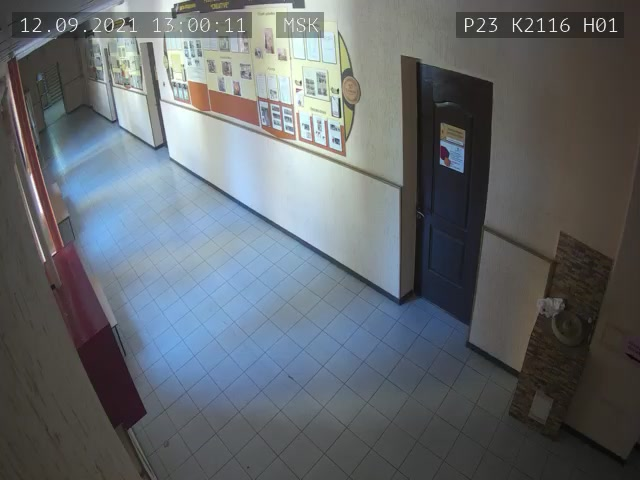Скриншот нарушения с видеокамеры УИК 2116