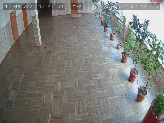 Скриншот нарушения с видеокамеры УИК 2148