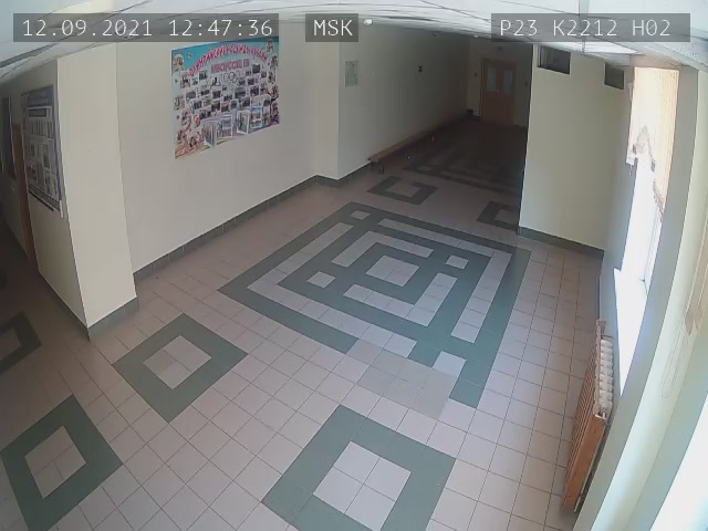 Скриншот нарушения с видеокамеры УИК 2212