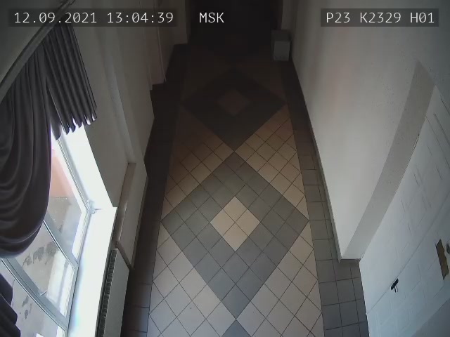 Скриншот нарушения с видеокамеры УИК 2329