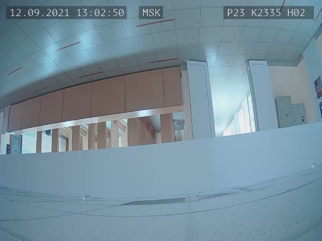 Скриншот нарушения с видеокамеры УИК 2335