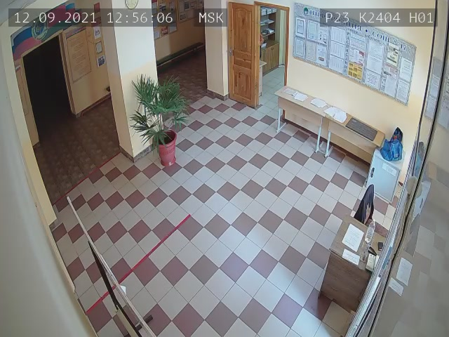 Скриншот нарушения с видеокамеры УИК 2404