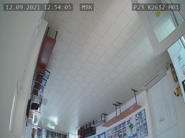 Скриншот нарушения с видеокамеры УИК 2632