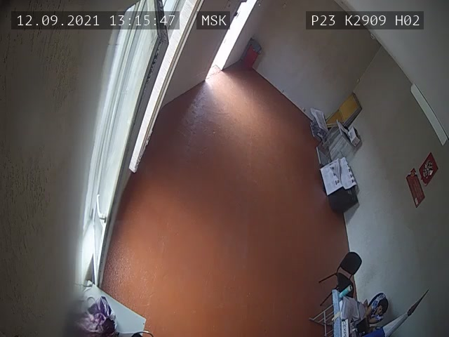 Скриншот нарушения с видеокамеры УИК 2909