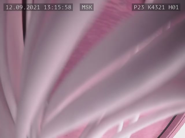 Скриншот нарушения с видеокамеры УИК 4321
