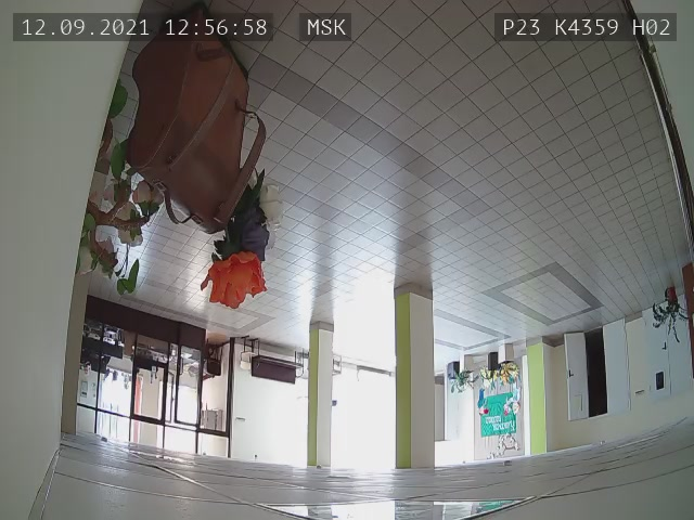 Скриншот нарушения с видеокамеры УИК 4359