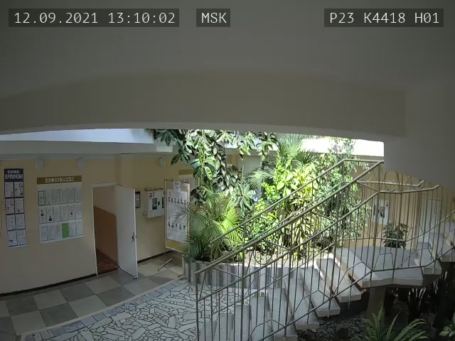 Скриншот нарушения с видеокамеры УИК 4418