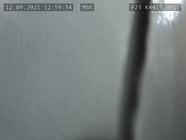 Скриншот нарушения с видеокамеры УИК 4419