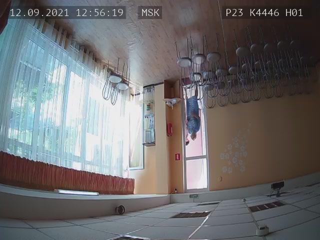 Скриншот нарушения с видеокамеры УИК 4446