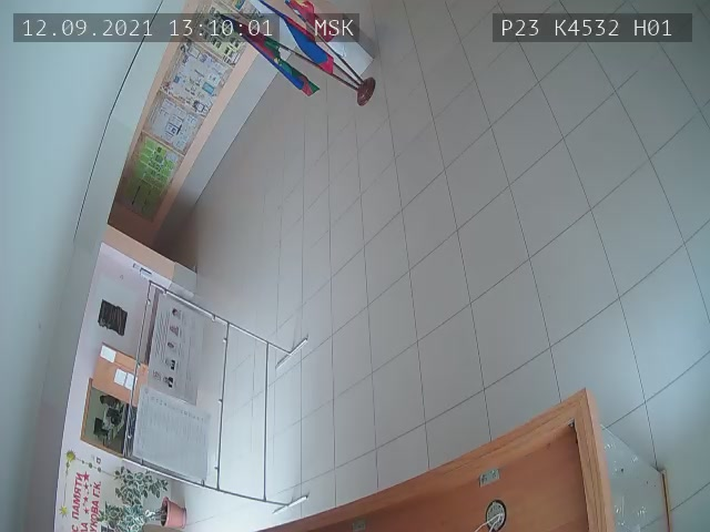 Скриншот нарушения с видеокамеры УИК 4532