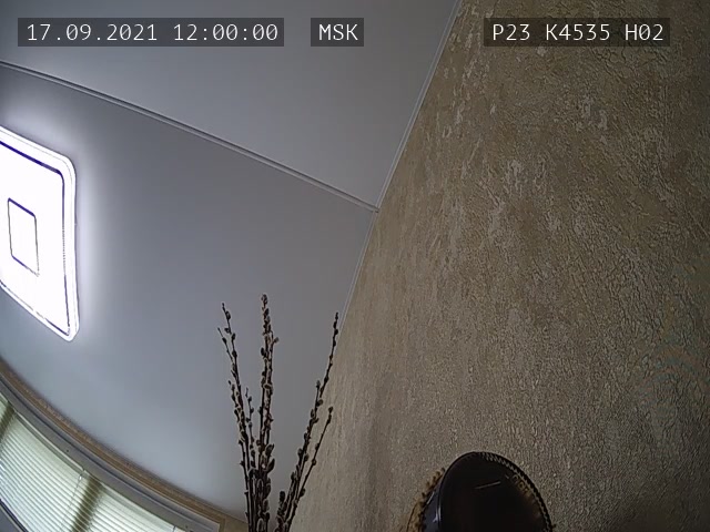 Скриншот нарушения с видеокамеры УИК 4535