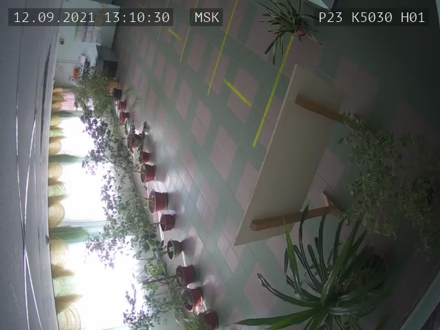 Скриншот нарушения с видеокамеры УИК 5030