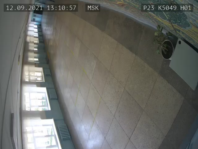 Скриншот нарушения с видеокамеры УИК 5049