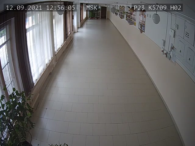 Скриншот нарушения с видеокамеры УИК 5709