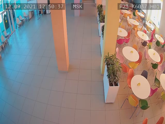 Скриншот нарушения с видеокамеры УИК 6037