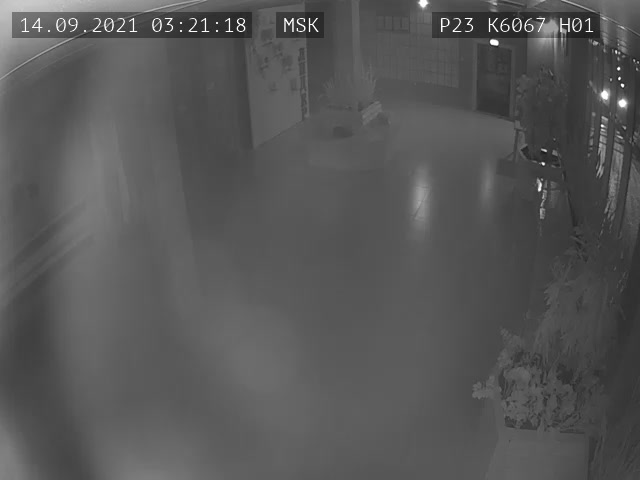 Скриншот нарушения с видеокамеры УИК 6067